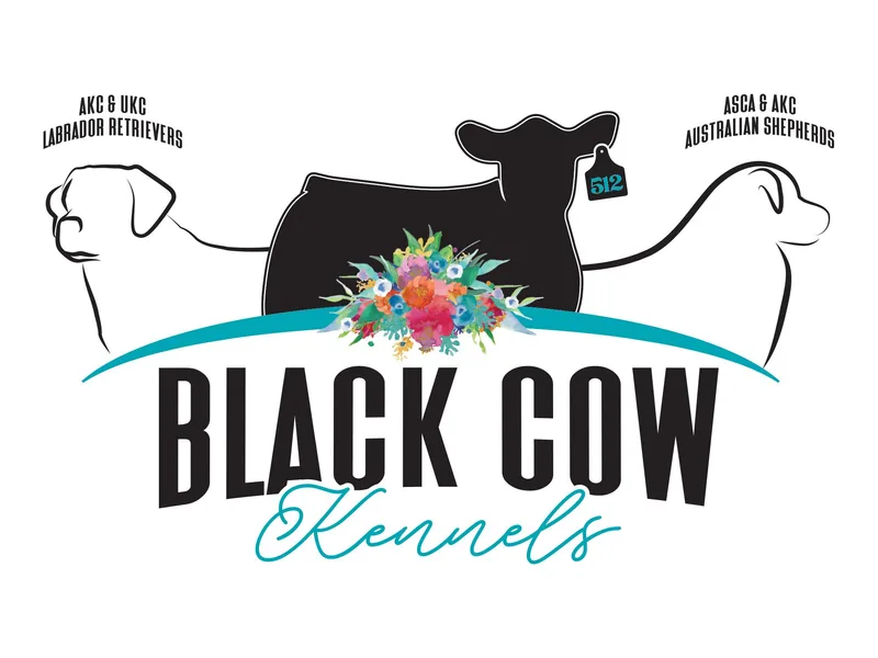 Black Cow Kennels