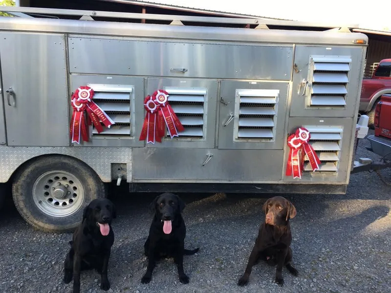 Blackland Retriever kennels