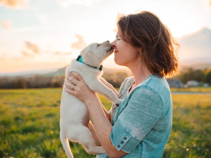 Blacks Run Retrievers