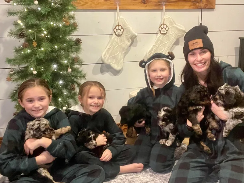 Blended Acres &amp; Kennels