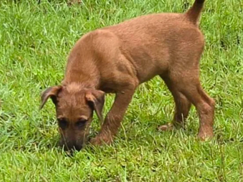 Blessed Hill &amp; Dell