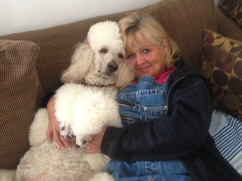 Blondie’s Poodle Passion