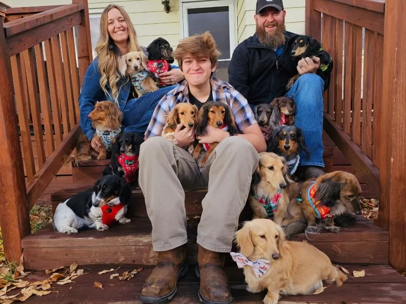 Blue Mountain Dachshunds