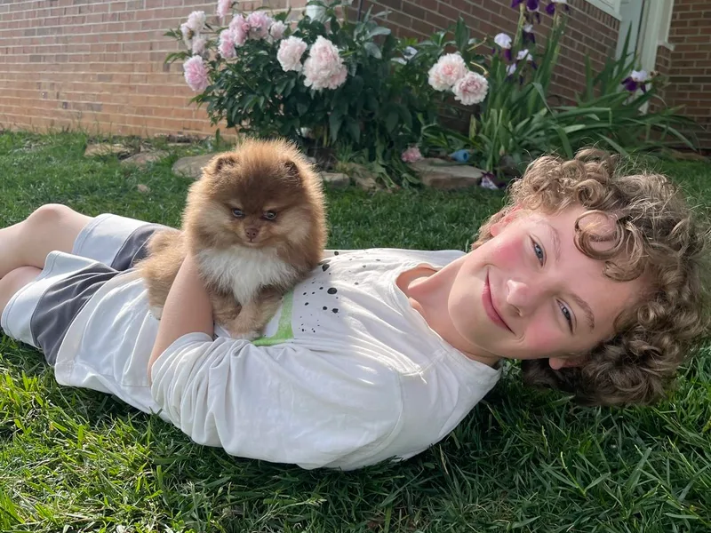 Blue Ridge Pomeranian