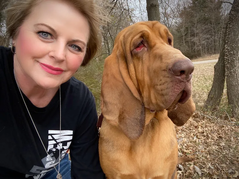 Bluehaven Bloodhounds