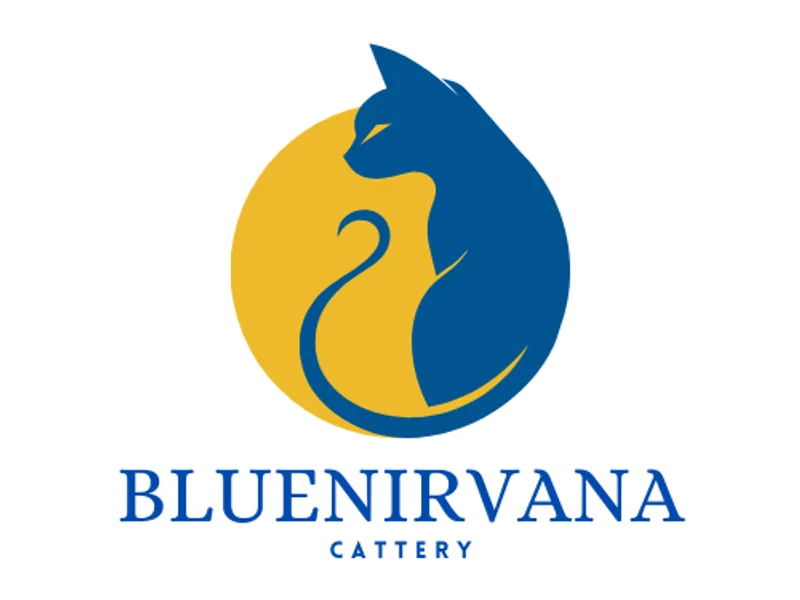 BlueNirvana