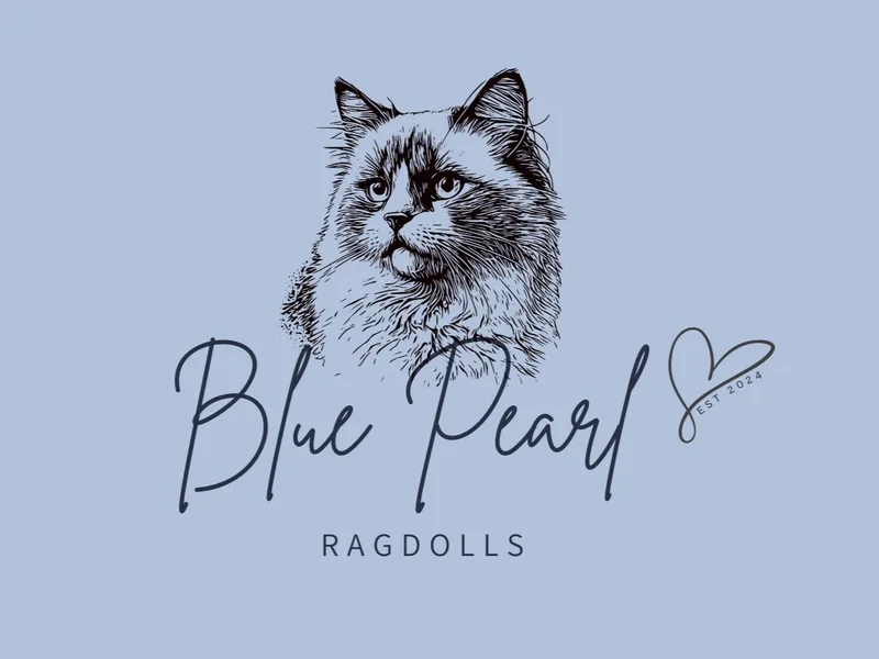 BluePearlRags