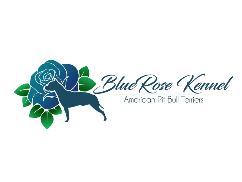 BlueRose Kennel photo 1
