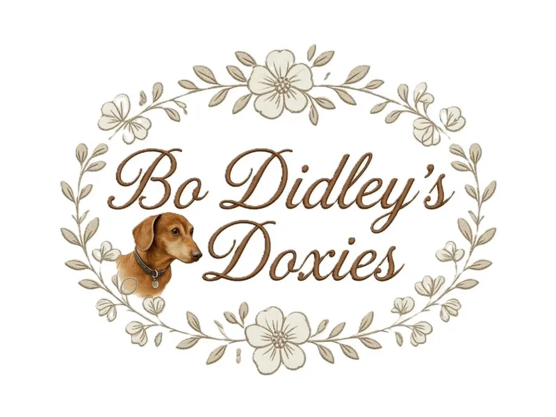 Bo Didley's Doxies