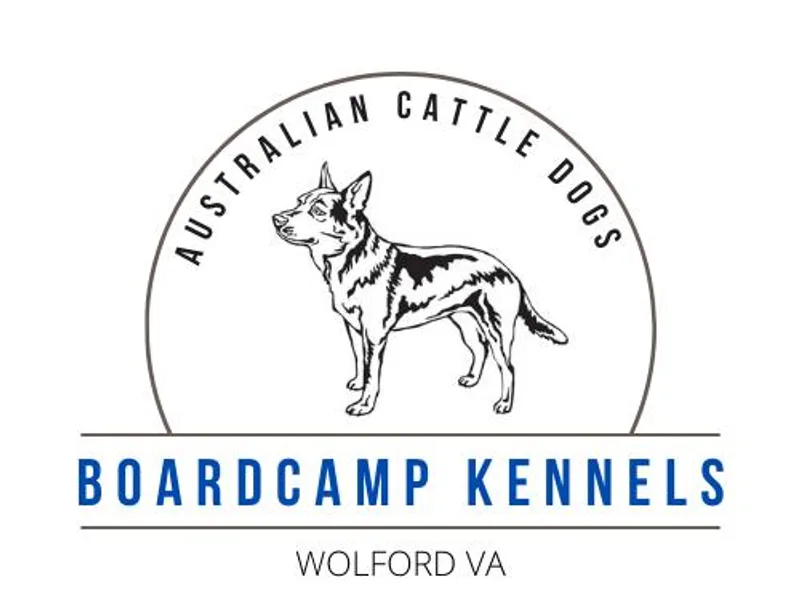 BoardCamp Kennels-AKC Australian Cattle Dogs