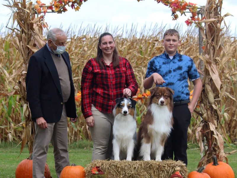 Bodacious Australian Shepherds