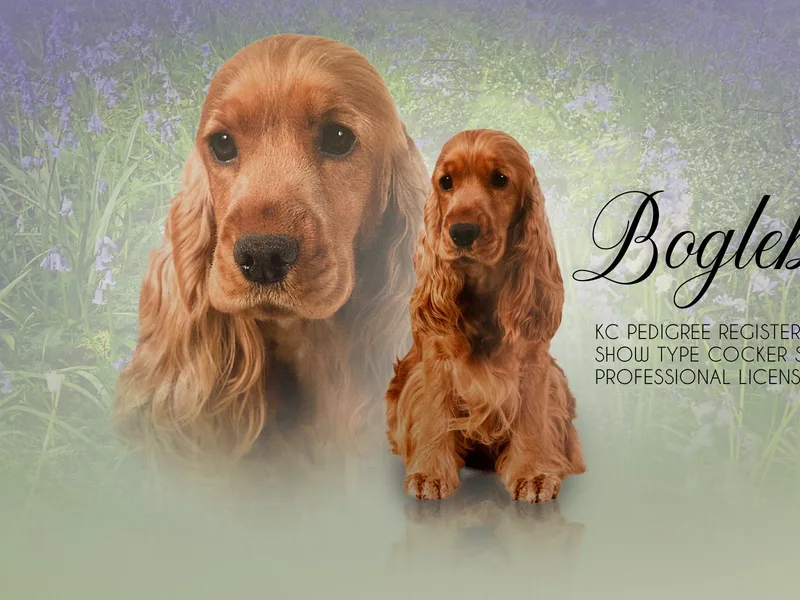 Boglebrig photo 1