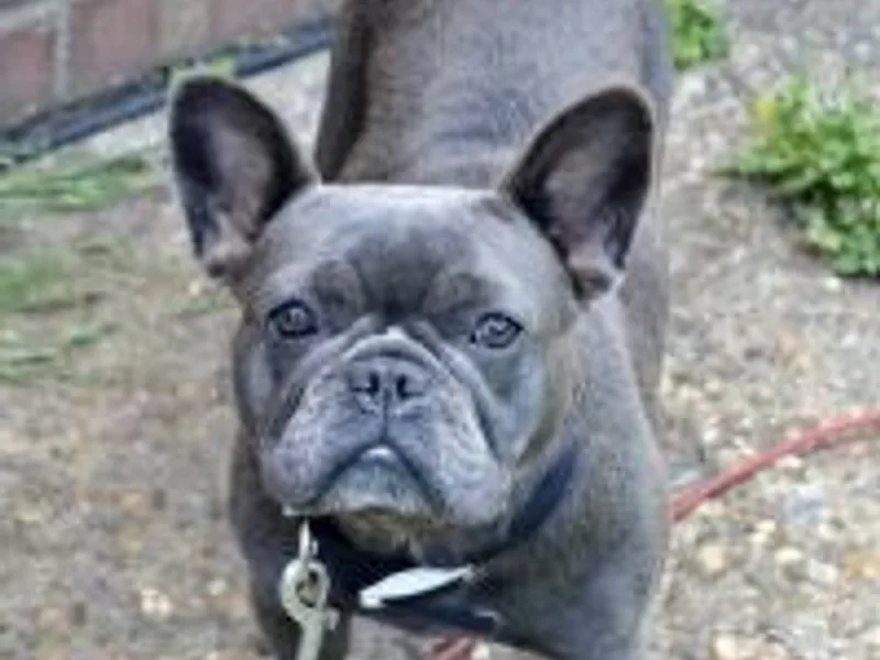 Boonies Pets photo 1