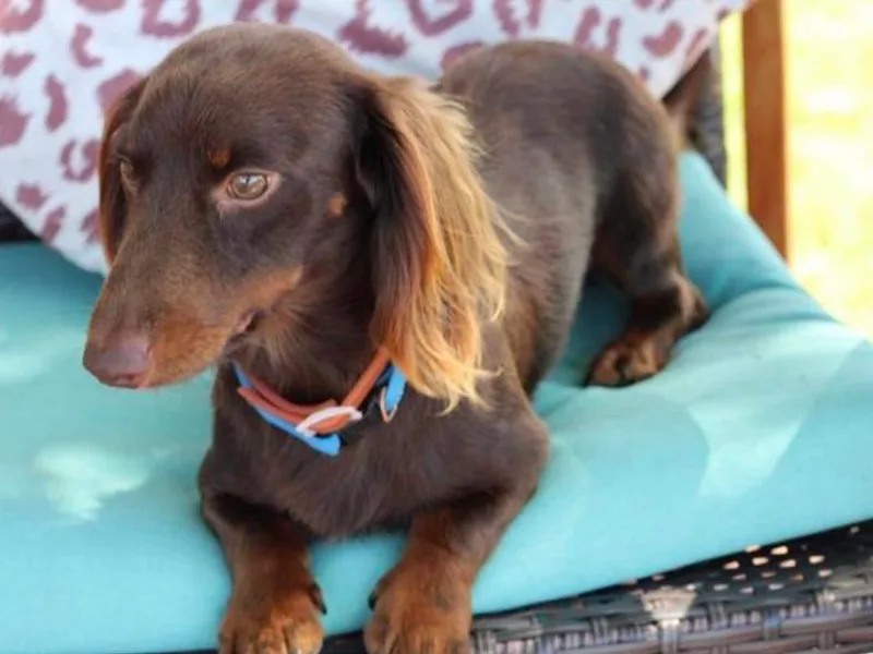 Boring Weenies photo 1