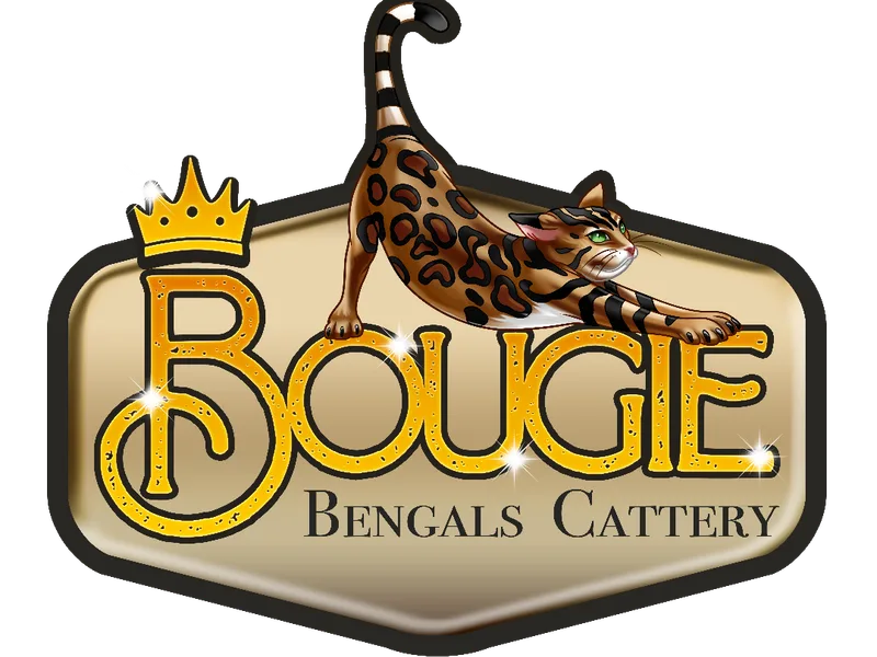 Bougiebengals