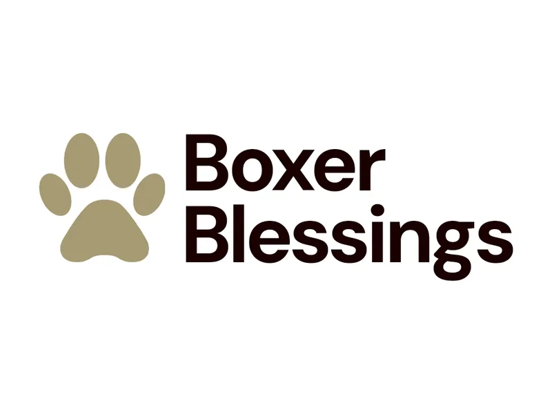 Boxer Blessings