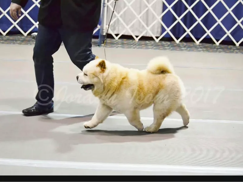 Brad Van Alfen photo 1