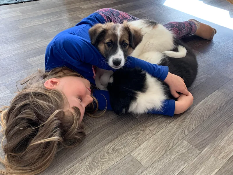 Brambly Mountain Farm