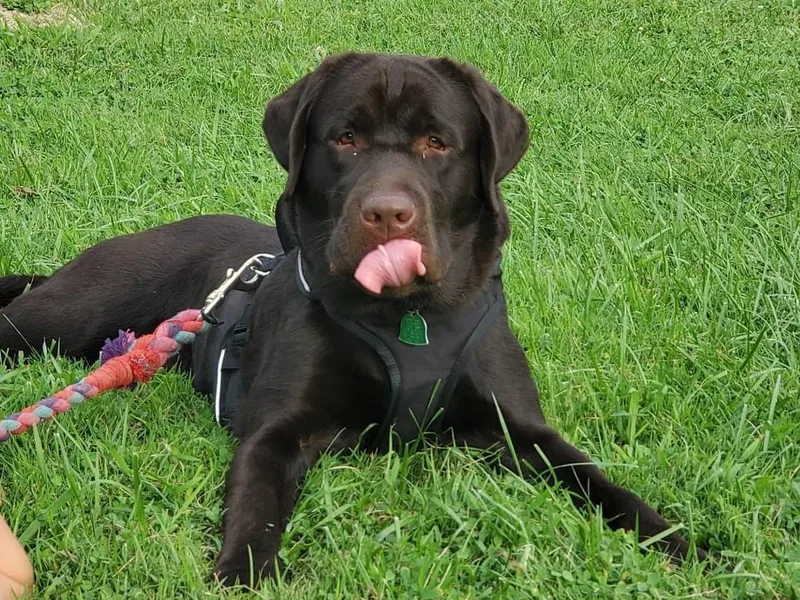 Brandywine Creek Labs