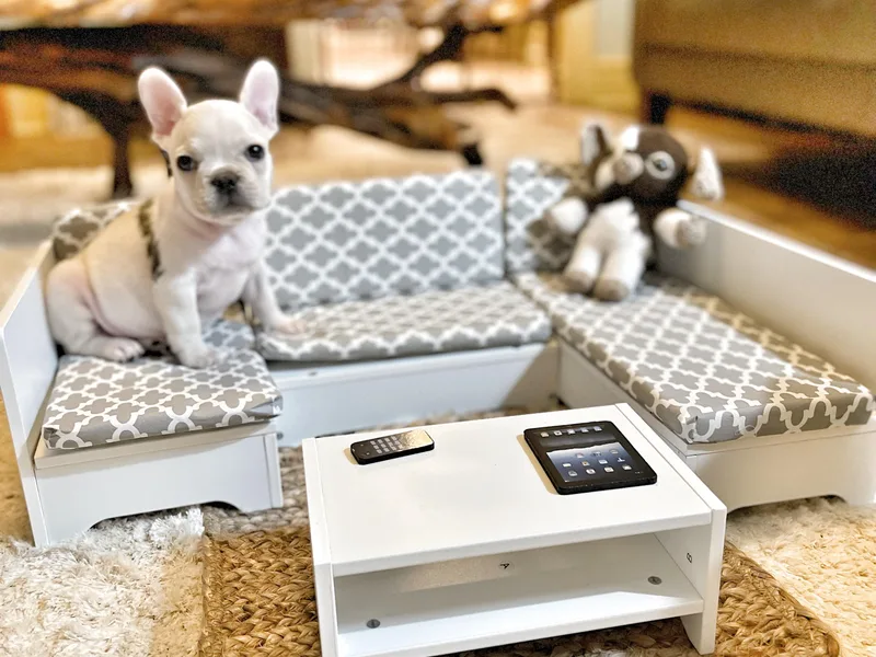 Breakfast with Frenchies