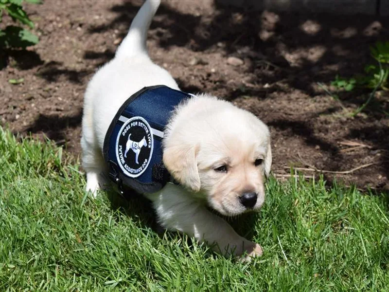 Breeding Coordinator at