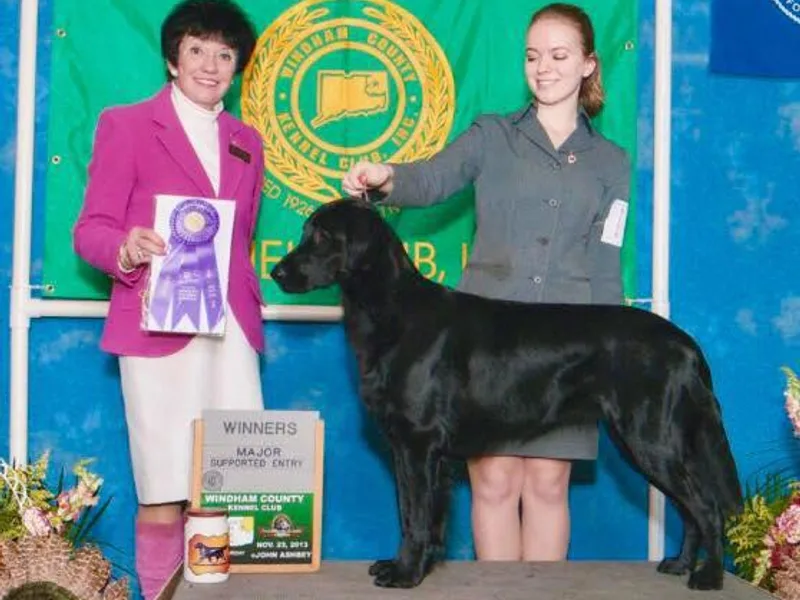 Breezy Hill Flat-Coated Retrievers