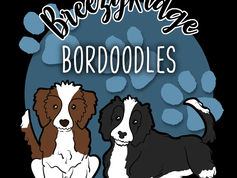 Breezy Ridge Bordoodles