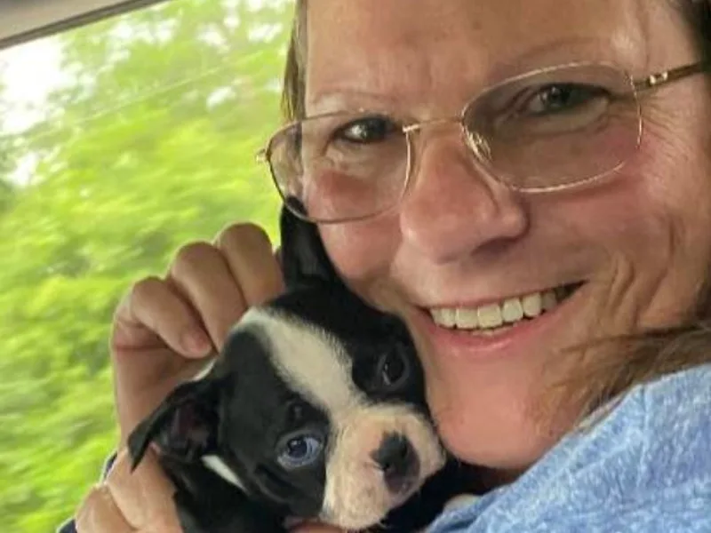 Brenda Blazek's Boston Terriers