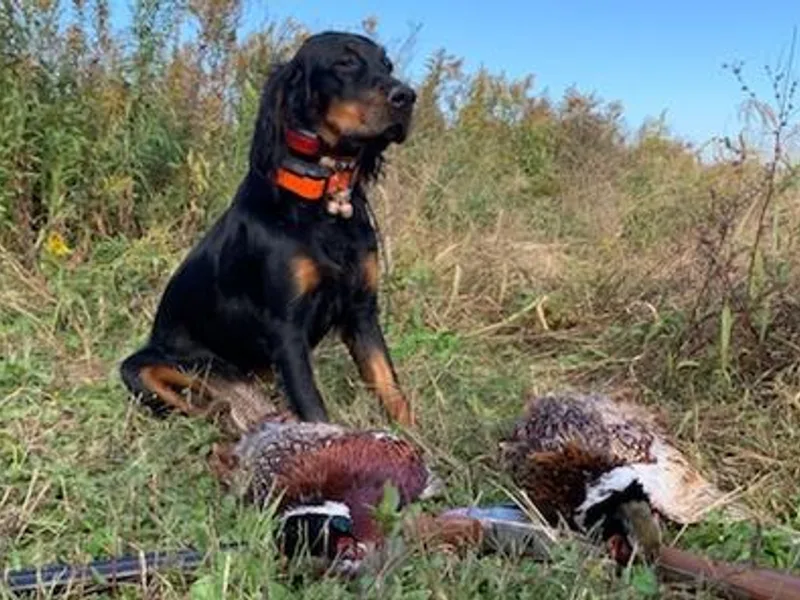 Briar Britches photo 1