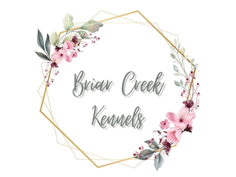Briar Creek Kennels