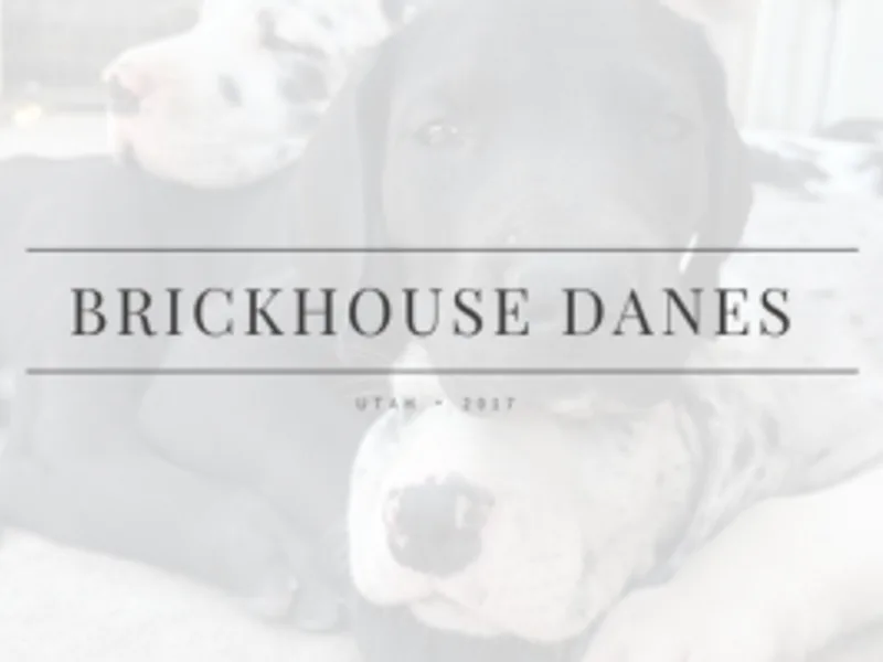 Brickhouse Danes