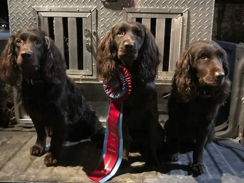 Brier Ridge Kennels &amp; Outfitters