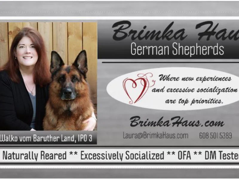 Brimka Haus German Shepherds