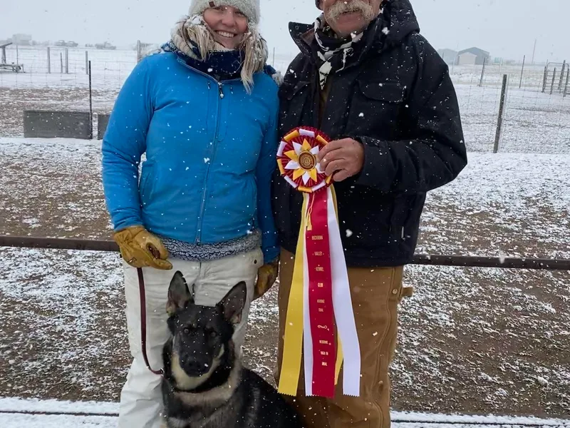 Brisingamen Shepherds