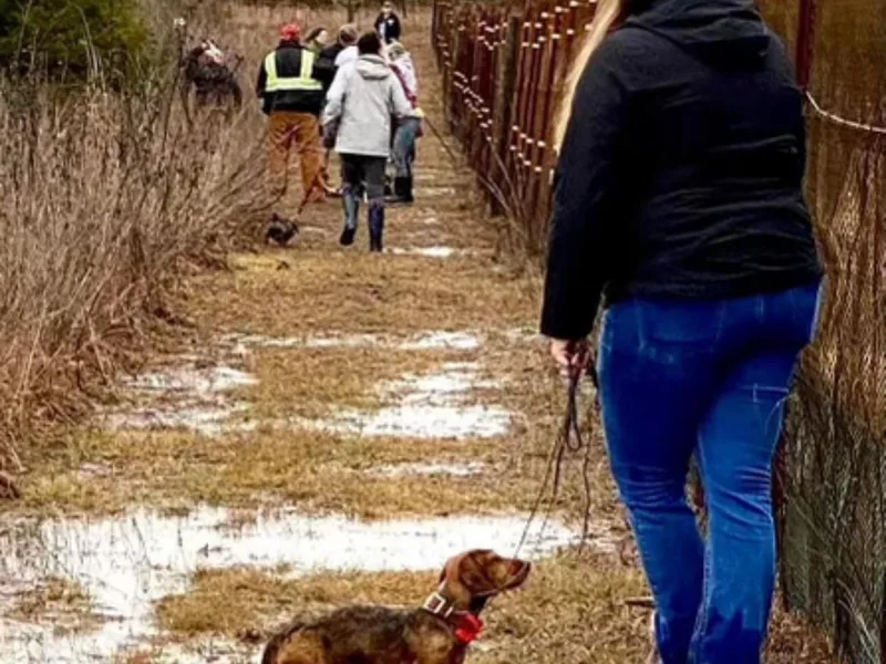 Brit’s Doxie Crossing photo 1