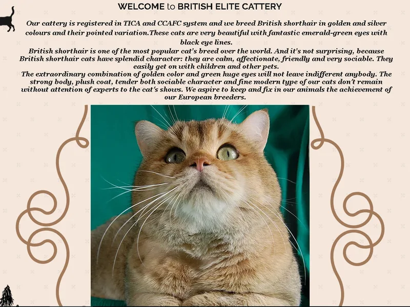 Britishelitecat