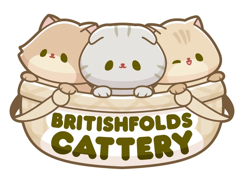 BritishFolds