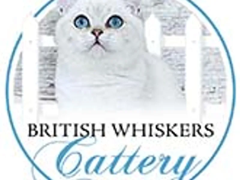 BritishWhiskers