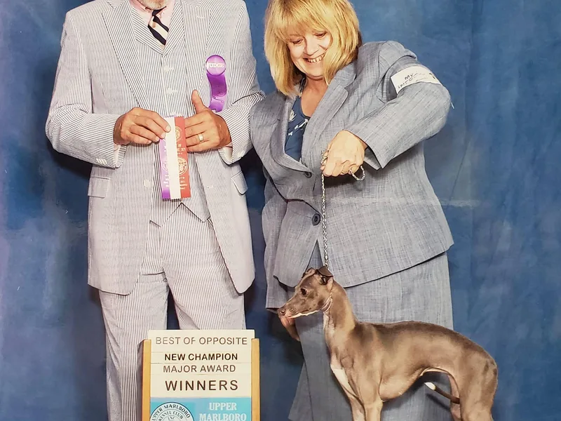 Brookeside Italian Greyhounds