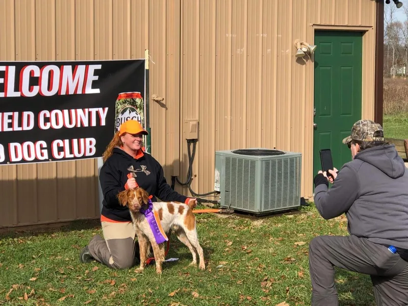 Brookfield Farm Brittanys LLC