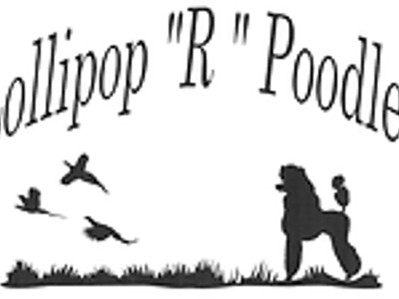Bryan Resh / Lollipop R Poodles