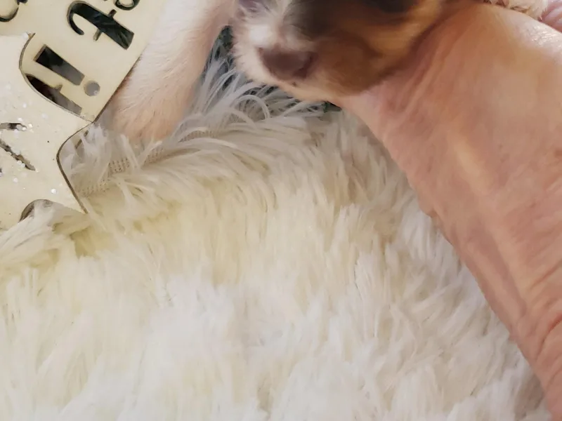 Buffy's Little Blessings