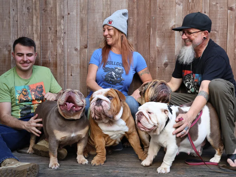 Bullgodz English Bulldogs