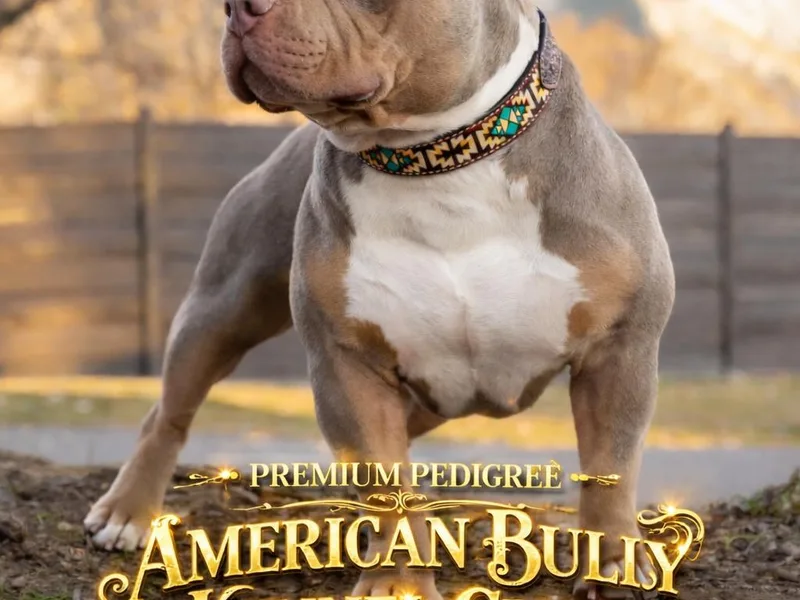 Byrnes Royal Bullyz