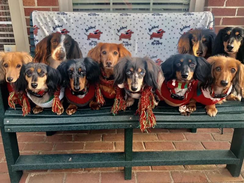 Byrum’s Kaleidodachs