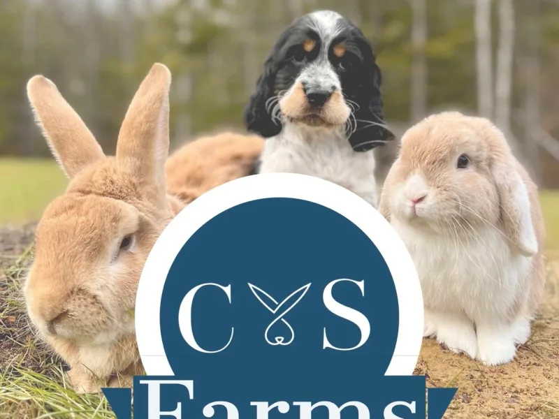 C & S Farms