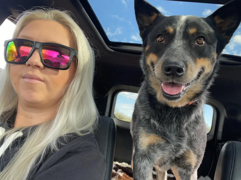 Cactus Heelers Arizona