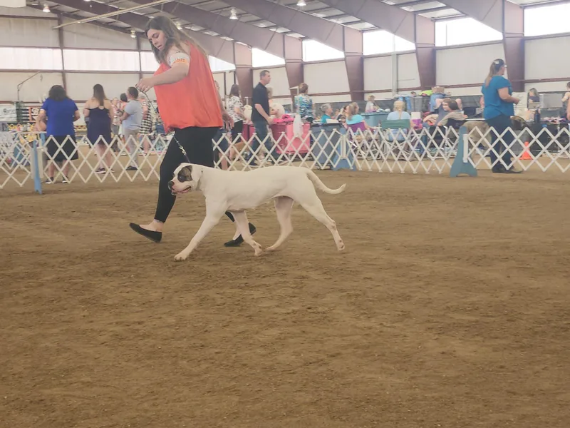 Calamity K9s photo 1