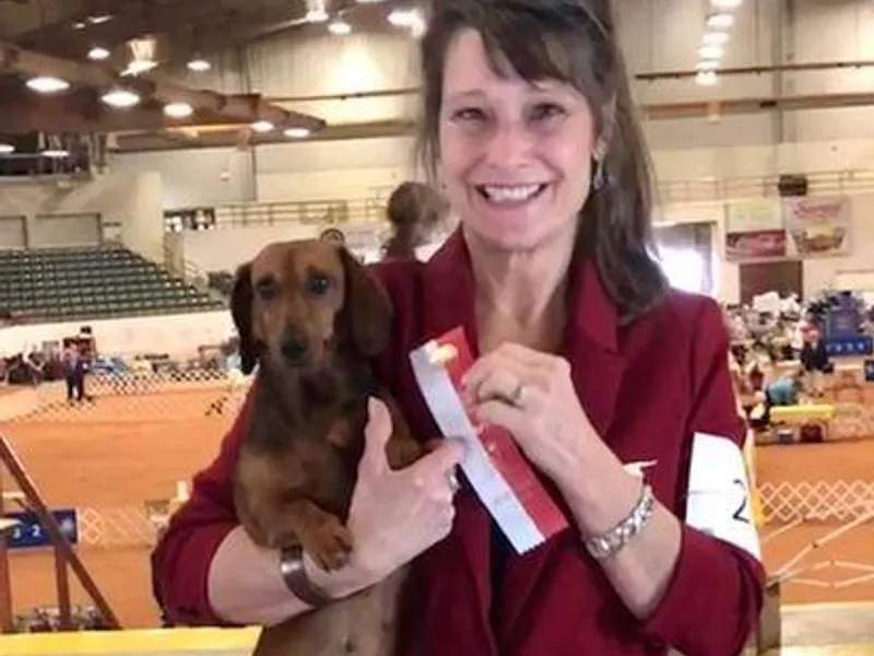 Caldwell's Dachshunds