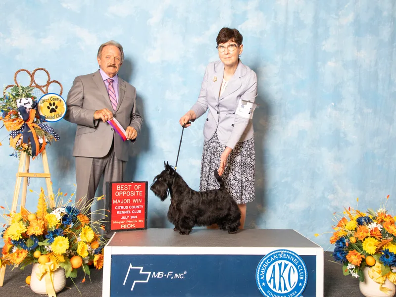 Camdyn Scottish Terriers